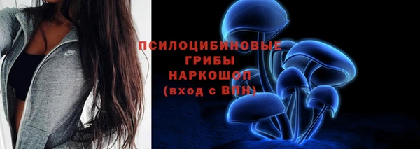 сатива Абдулино