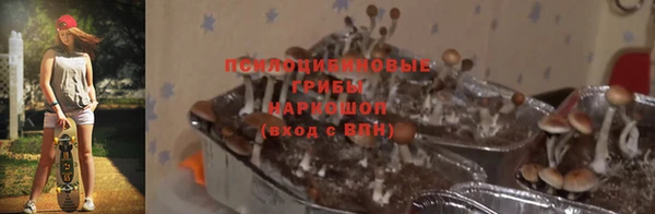 дживик Алексин