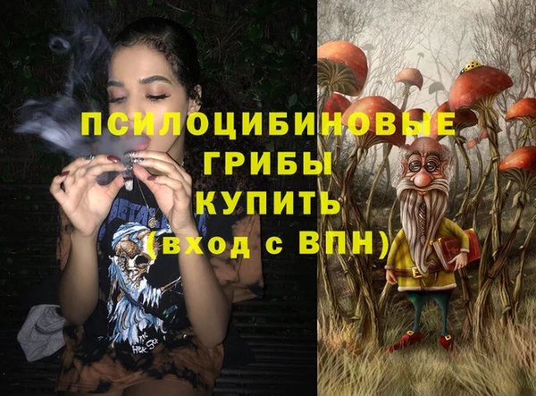 дживик Алексин