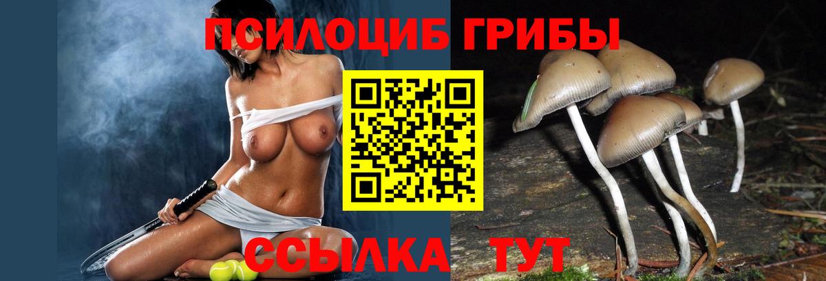 Псилоцибиновые грибы прущие грибы  Псилоцибиновые грибы Magic Shrooms  Усть-Лабинск  Вход с VPN 