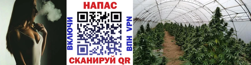 Бошки Шишки план  Усть-Лабинск 